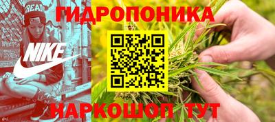соль ск Кулебаки