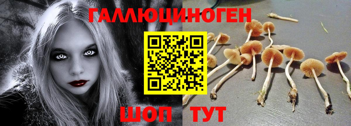 Галлюциногенные грибы прущие грибы  купить  сайты  Кемерово  Вход с VPN 